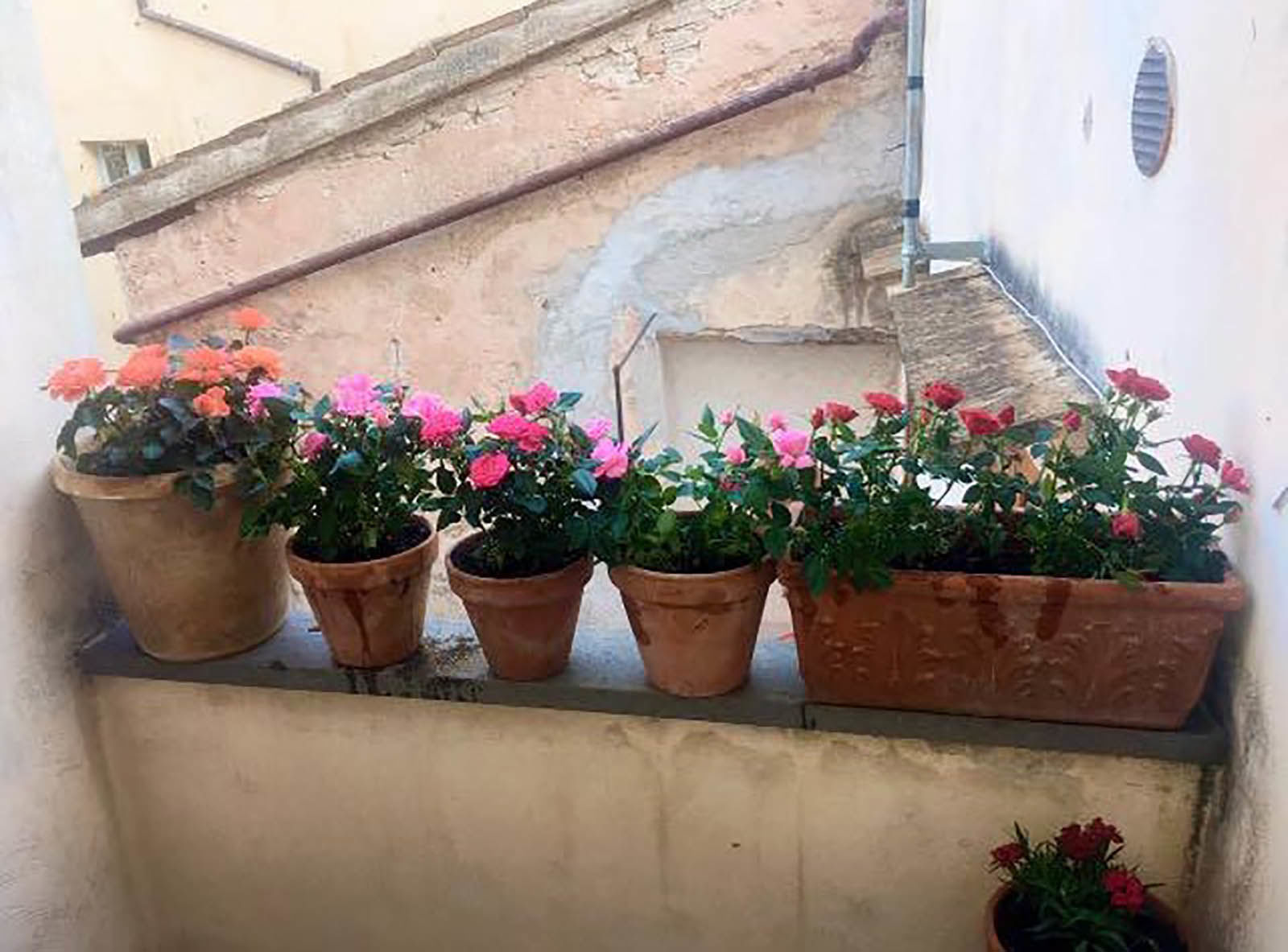 Flowers on a Balcony